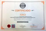 CERTIFICADO MELHORES EMPRESAS EM IDHO - INDICADOR DE DESENVOLVIMENTO HUMANO ORGANIZACIONAL 2016